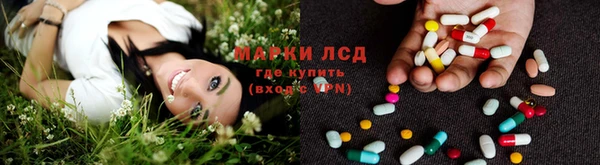 ГАЛЛЮЦИНОГЕННЫЕ ГРИБЫ Пересвет