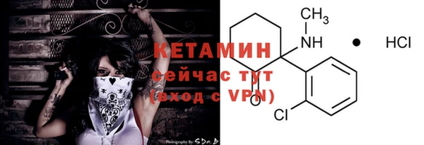 стафф Аркадак