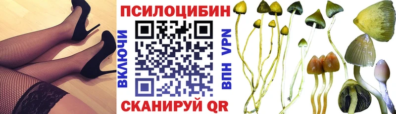 Галлюциногенные грибы Magic Shrooms  Старица 